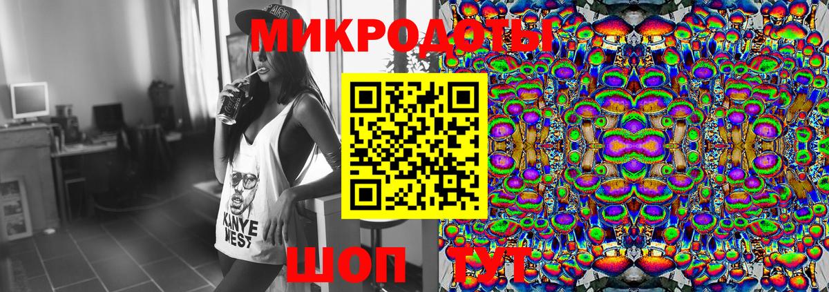 Псилоцибиновые грибы Psilocybine cubensis Курск