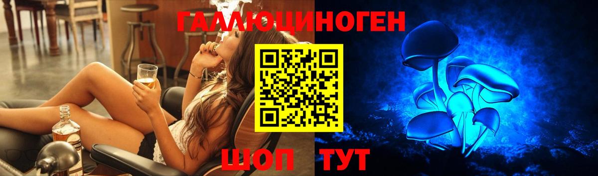 Курск  Галлюциногенные грибы ЛСД  Вход с VPN 